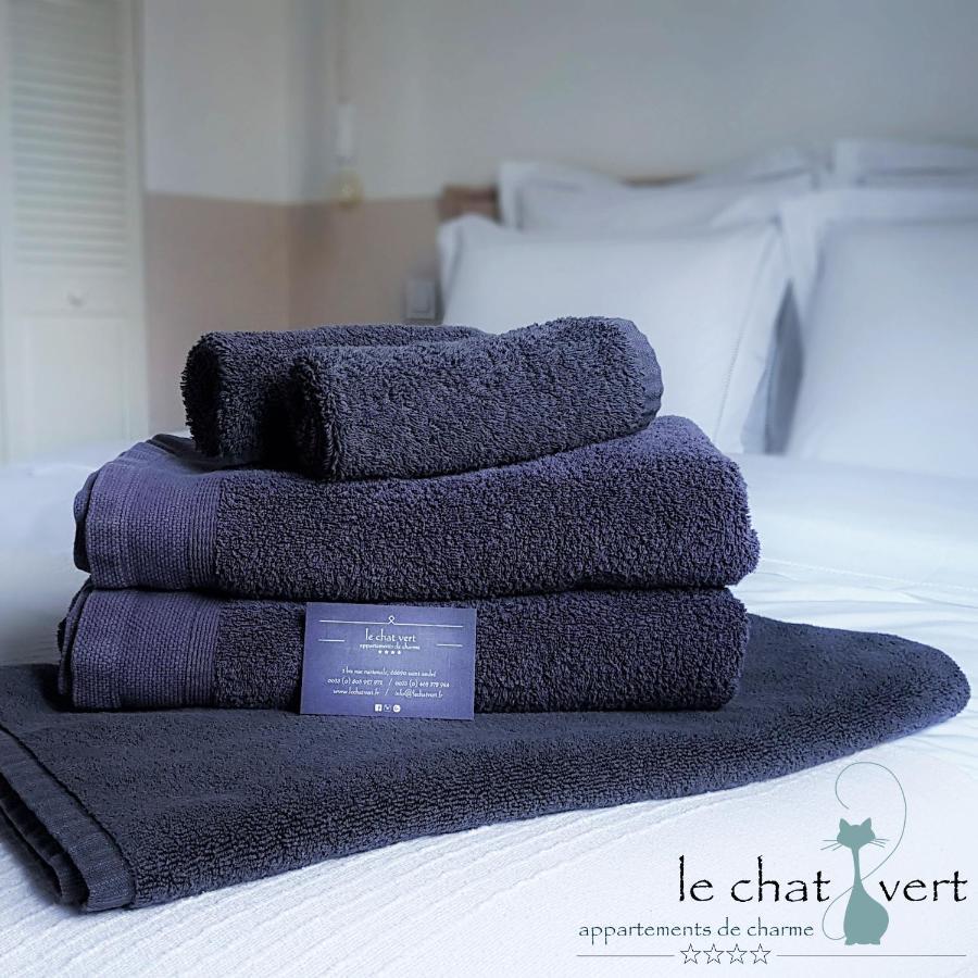 Le Chat Vert - Appartements Adults Only Saint-André Eksteriør billede